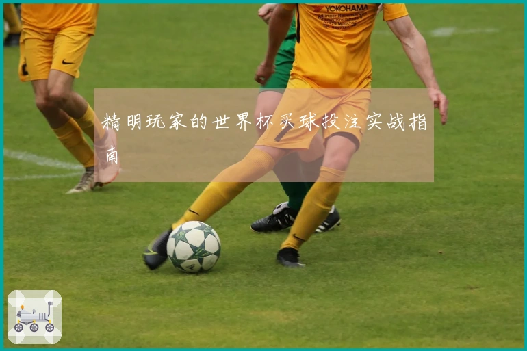 精明玩家的世界杯买球投注实战指南