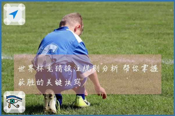 世界杯竞猜投注规则分析 帮你掌握获胜的关键诀窍