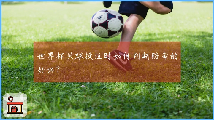 世界杯买球投注时如何判断赔率的好坏？