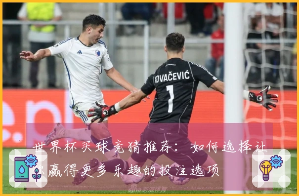 世界杯买球竞猜推荐：如何选择让你赢得更多乐趣的投注选项